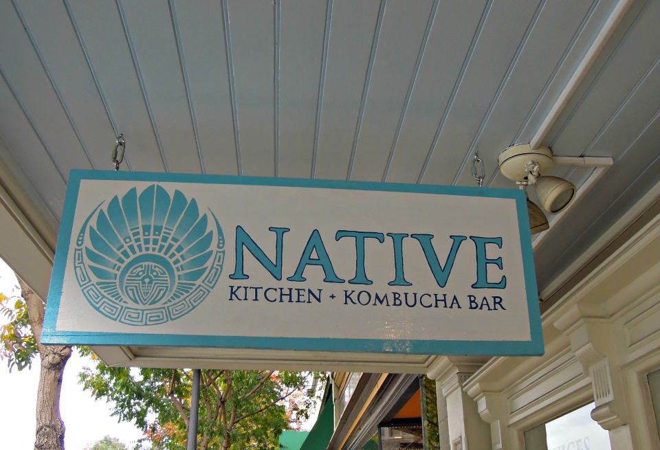 Native Kombucha bar, Petaluma California, Kombucha, Tonics, 
